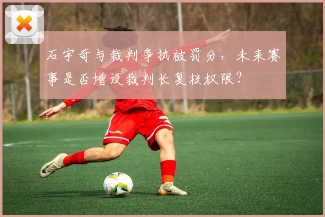 石宇奇与裁判争执被罚分，未来赛事是否增设裁判长复核权限？